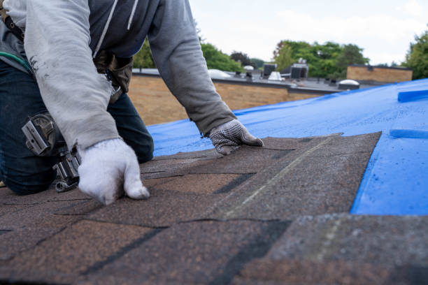 Best Storm Damage Roof Repair  in Mason City, IA